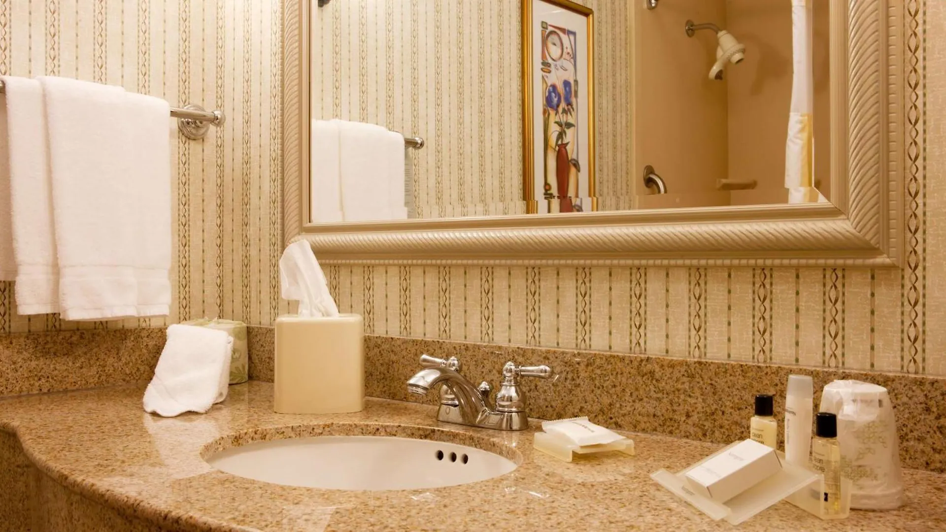 Hilton Garden Inn Secaucus/Meadowlands 3*, Secaucus